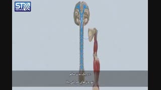 چرا درمان بیماری als دشوار است ؟