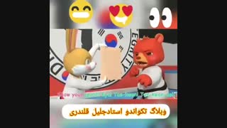 انمیشین زیبا از تکواندو