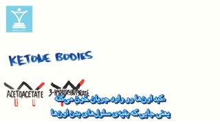 همه چیز در مورد رژیم کتوژنیک