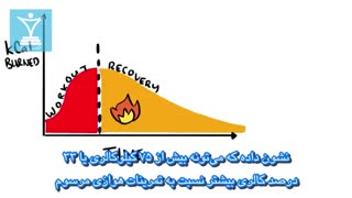 تمرینات باوزنه در برابر هوازی