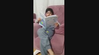 امیر مهدی محمد زاده - دبستان سرآمد