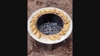 آشپزی قسمت دوم