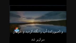 نماهنگ ترکی غواصان در کربلای 4 با زیر نویس فارسی