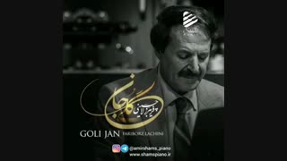 بیوگرافی فریبرز لاچینی