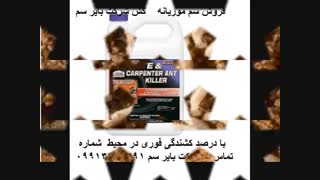 قویترین سم موریانه کش مهلک و نابودگر بایر سم