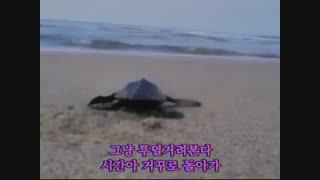 موزیک ویدیوی '+투덜거려본다(PARADOX)171115+' از CL