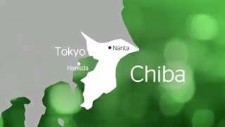 شهر چیبا (ژاپن) - Chiba City