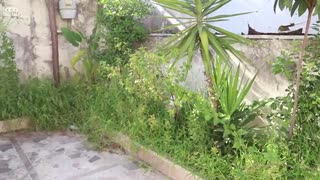 خرید ویلا با ویو دریا در بندرانزلی