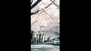 چالش بیکاری اسنا~