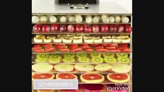 دستگاه خشک کن میوه و سبزیجات