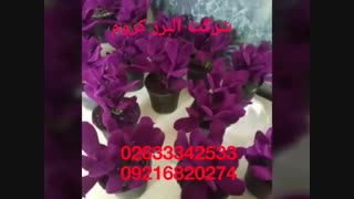 دستگاه مخملپاش-چسب مخمل-پودر مخمل