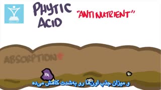 برنج سفید یا قهوه‌ای