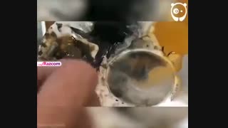 نقاشی یعنی این
