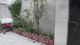 خرید آپارتمان خوش نقشه در بندرانزلی