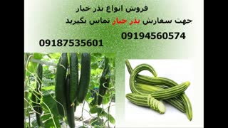 بذر خیار