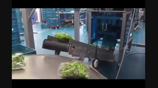 دستگاه بسته بندی سالاد و سبزیجات