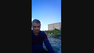 نخلها می بینند