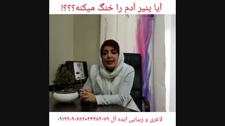 واقعا پنیر آدم را خنگ میکنه؟