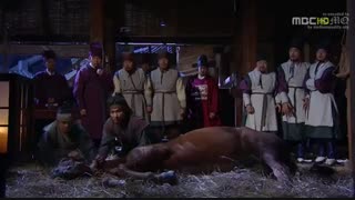 قسمت هفتم سریال کره ای دکتر اسب Horse Doctor 2012