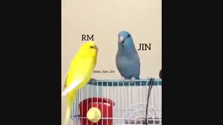 Jin و RM :)))